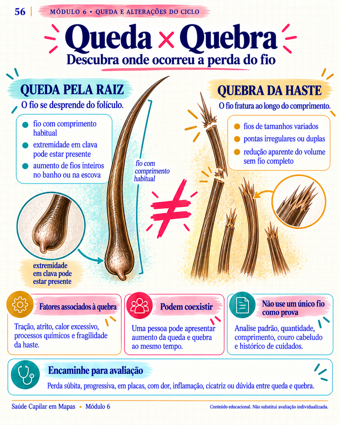 Página demonstrativa: Quebra versus queda
